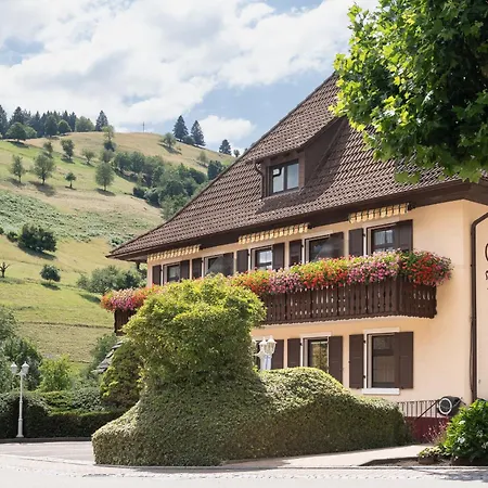 Gasthof Belchenblick-2