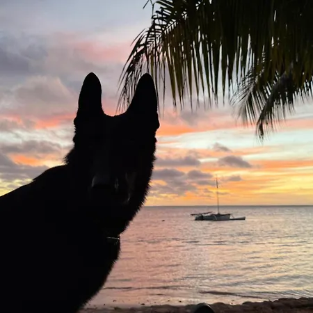 Fare Tokoau Moorea-2