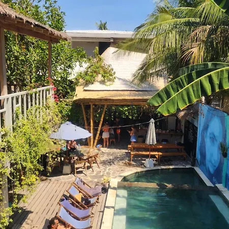 Tipsea Turtle Gili Air-3