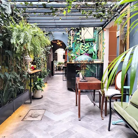 Casa Pánuco-3
