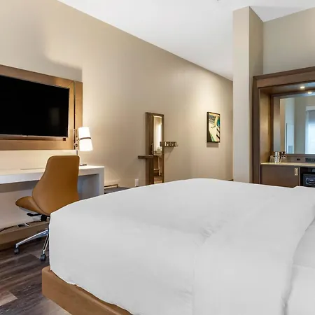 Doubletree By Hilton Summerville Nexton-2