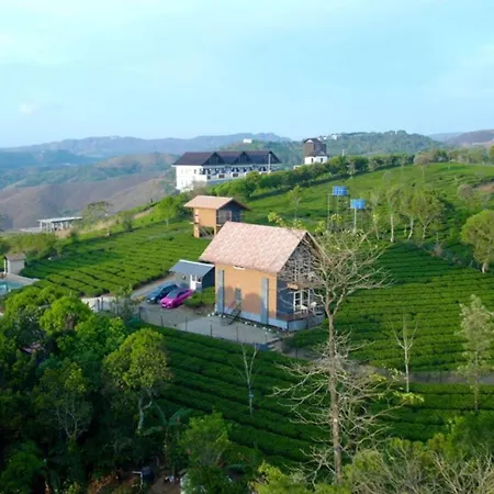 Cloud Canopy - Tea Garden Family Pool Cottage In Vagamon-3