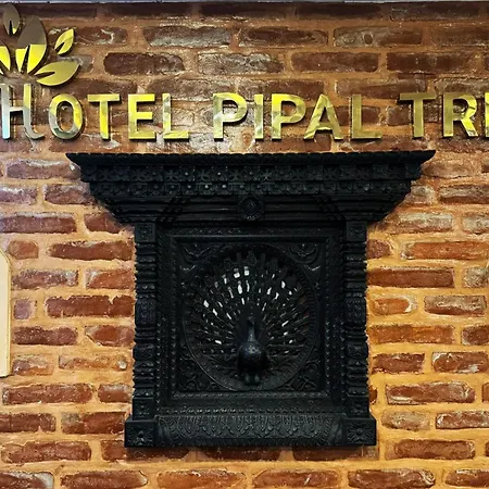 Hotel Pipal Tree-2