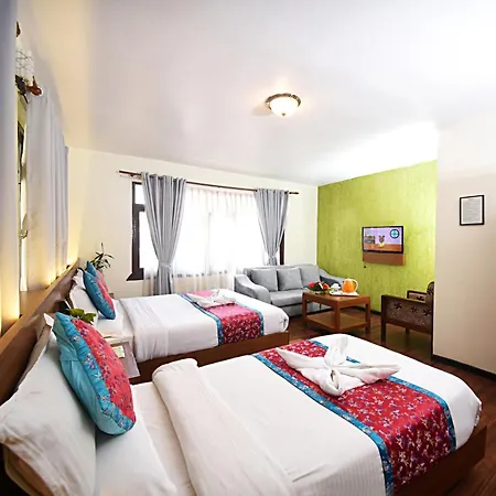 Hotel Amaryllis-3