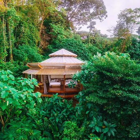 La Loma Jungle Lodge And Chocolate Farm-2