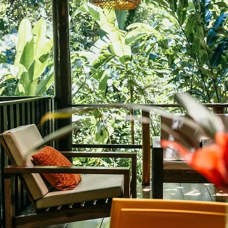 La Loma Jungle Lodge And Chocolate Farm-3