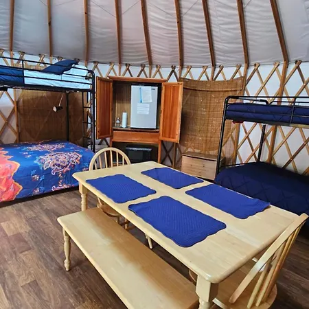 Mountain Springs Cabins-3