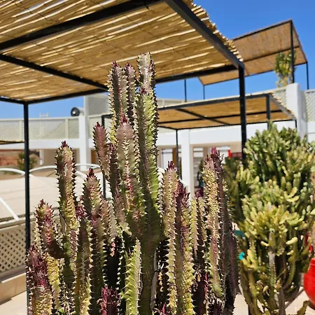 Miostello Lifestyle Riad-3
