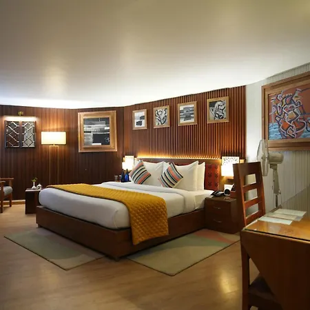 Tree Of Life Eila Art Hotel, Manali-3