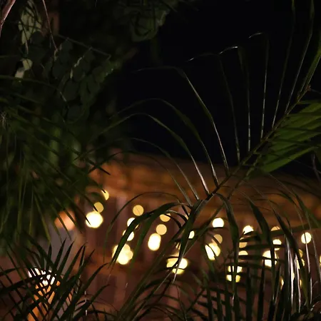 Amraness Luxury Resort Sasan Gir-3