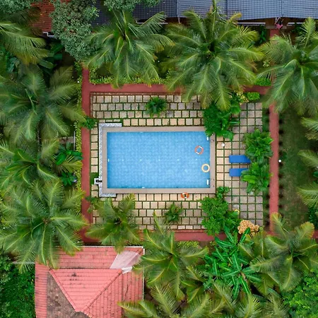 White Truffle Resort, Arambol-3