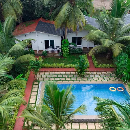White Truffle Resort, Arambol-2