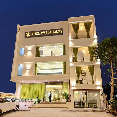 Hotel Avalon Palms Agra-3