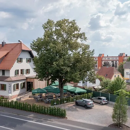Goldammer Aschaffenburg-2