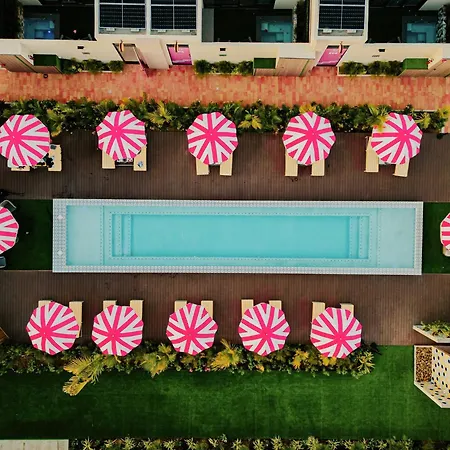 Privada Stays - Lofts With Private Pool And Oasis, Near Eagle Beach-3