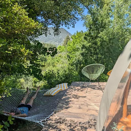 Bulles d'Olive Provence avec option jacuzzi-3