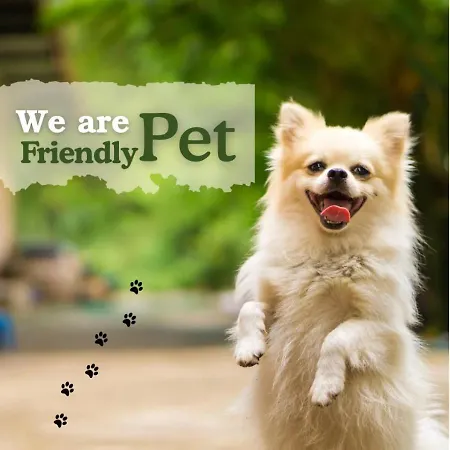 Olive Serviced Apartments - New Friends Colony-3