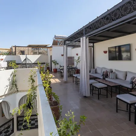 Riad Zehra-2