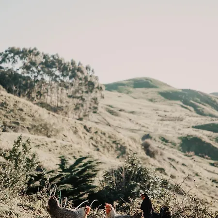 Hinterland Retreat-2