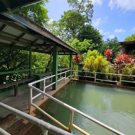 Tia'S Bamboo Cottages Restaurant, Bar & Sulphur Spa-3
