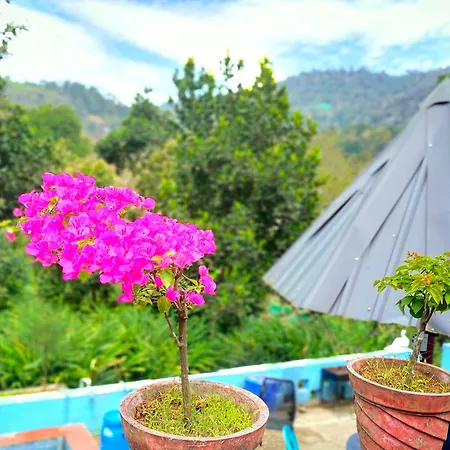 Misty Valley Private Pool Villa Munnar-2
