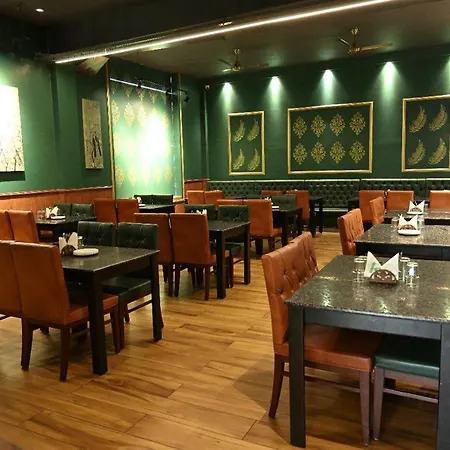 Hotel Golden Fern-2