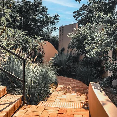 Casa Las Almas-2