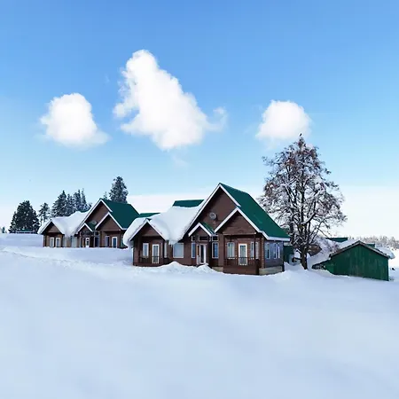 Gulmarg Woods By Stay Pattern-3
