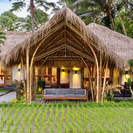 Villa Jepun-3
