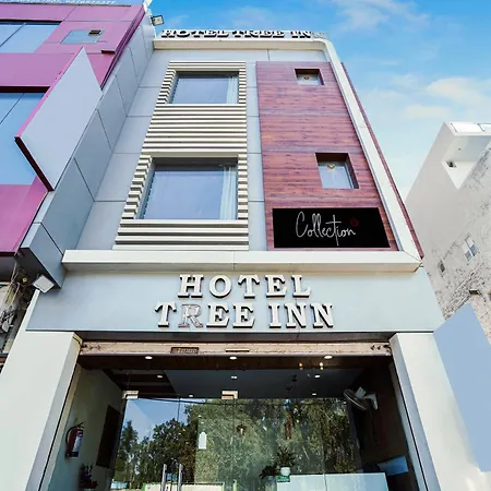 Hotel O Tree Inn-3