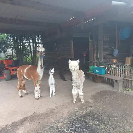 Best Boerderij B&B-2