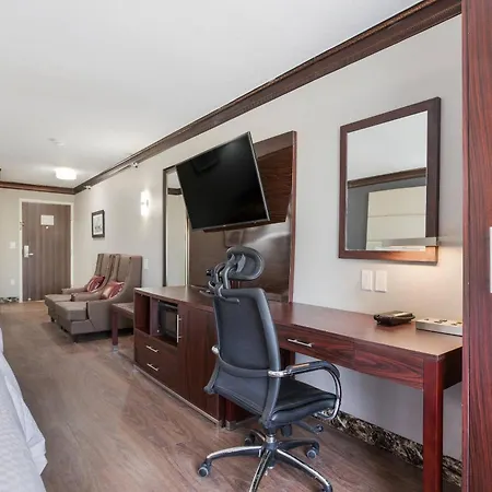 The Leo Collection Detroit, An Ascend Collection Hotel-3