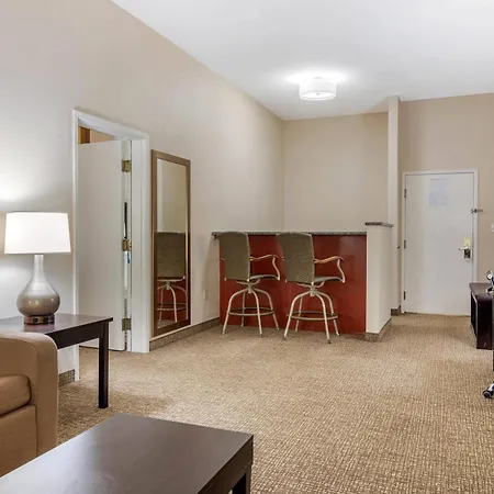 Comfort Inn & Suites Atlanta-Smyrna-3