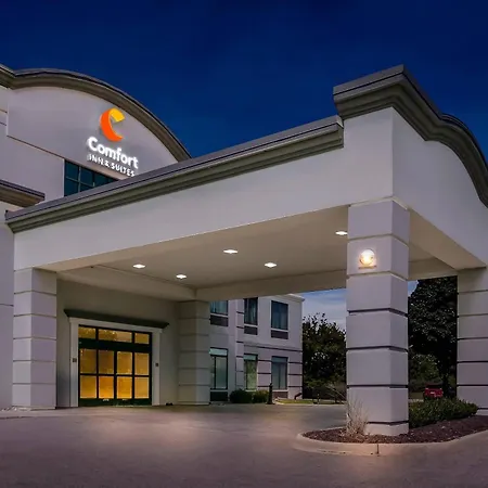 Comfort Inn & Suites Grand Blanc-Flint-2