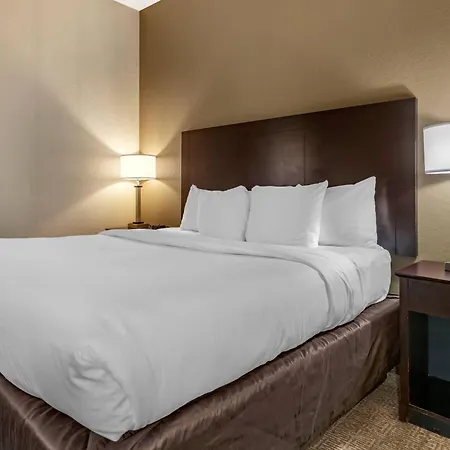 Comfort Inn & Suites Deland - Near University-3