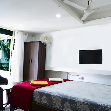 Bliss Holiday In-2