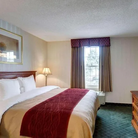 Comfort Inn Foxboro - Mansfield-3