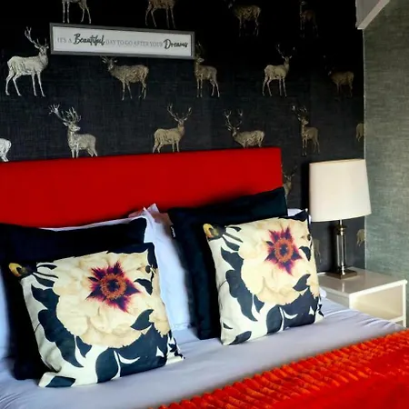The Bay Rooms At Glenisle Hotel-3