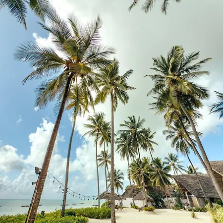 Savera Beach Houses-2