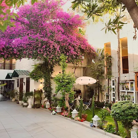 The Bougainvillea Bed & Breakfast-2