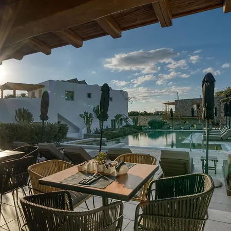 Mykonos Cactus-3