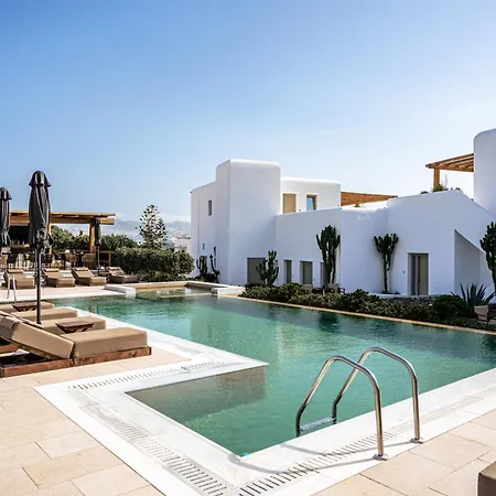 Mykonos Cactus-2