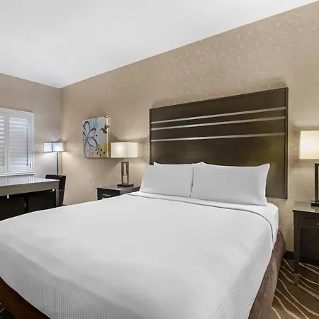 Best Western Plus Park Place Inn - Mini Suites-2