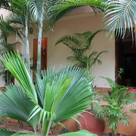Pv Resort - Auro Beach-2
