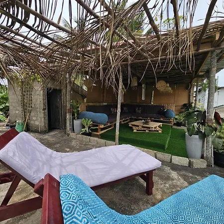 The Calm Palm-2