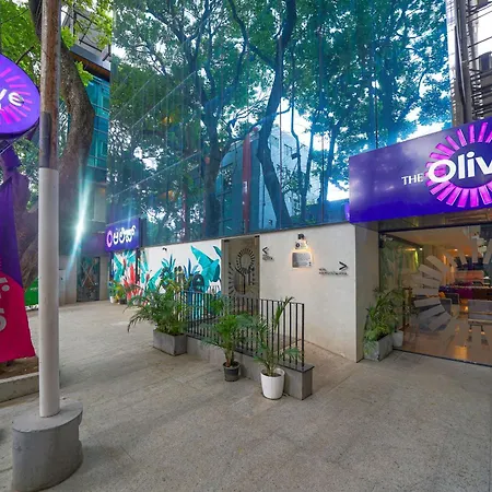 Olive Hotel Indiranagar 100Ft Road By Embassy Group-3