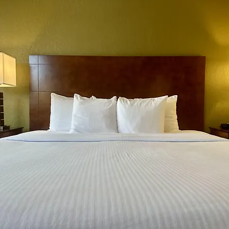 Best Western Executive Inn Kenosha - Pleasant Prairie-2