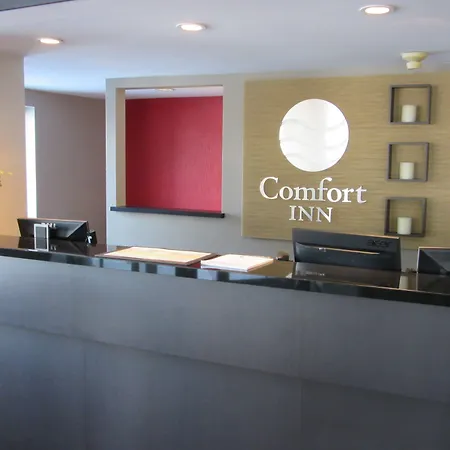 Comfort Inn Cobourg - Port Hope-3
