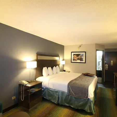 Best Western O'Hare/Elk Grove Hotel-2