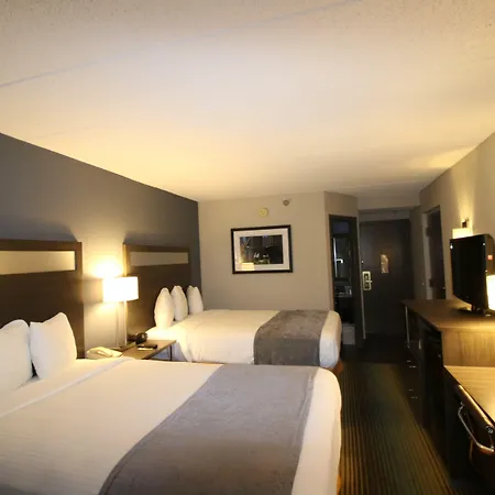 Best Western O'Hare/Elk Grove Hotel-3
